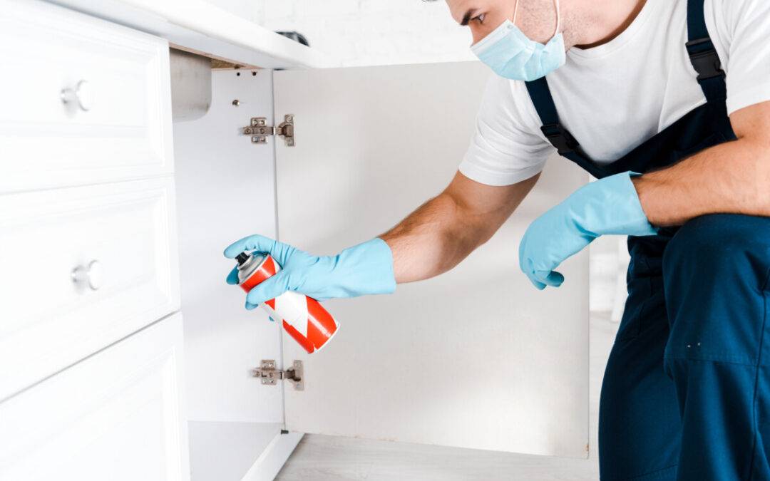 exterminator in protective mask holding spray can near kitchen cabinet